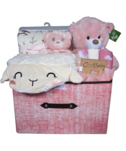 First Teddy Baby Girl Extra Large Hamper