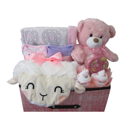 First Teddy Baby Girl Extra Large Hamper closeup