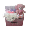 My First Teddy Extra Large Baby Girl Hamper