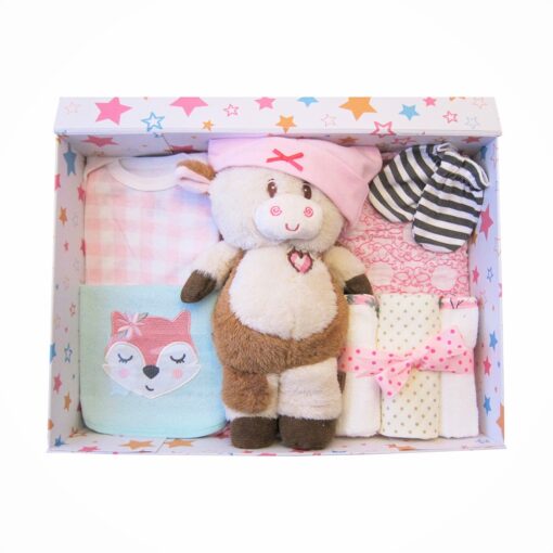 Betty Cow Luxurious Baby Girl Hamper Memory Box Gift Set