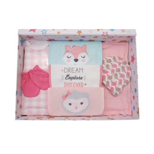 Newborn Baby Girl Daily Essentials Gift Box