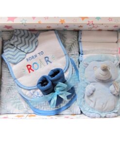 Hedgehog Rattle Deluxe Baby Boy Gift Set