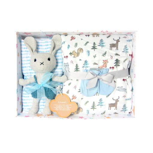 wool bunny keepsake baby boy gift box
