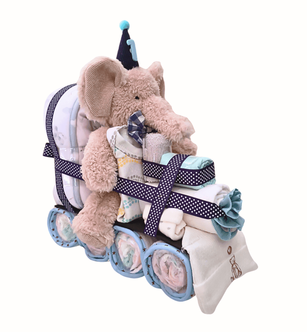 Elephant Baby Boy Nappy Train