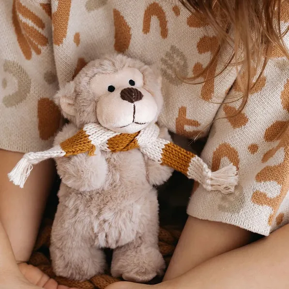 Hugo Monkey Mini