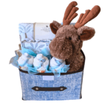 Moose Baby Boy Deluxe Organic Hamper
