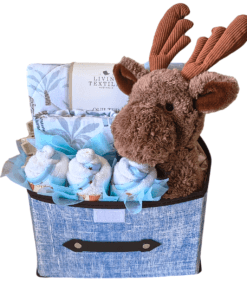 Moose Baby Boy Deluxe Organic Hamper